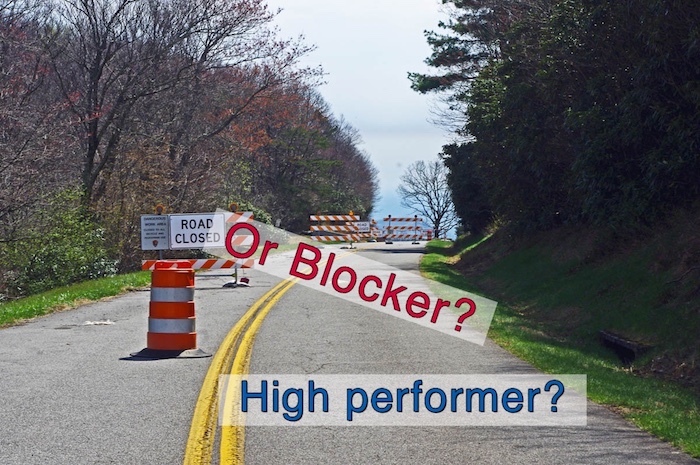 Ahh-Yes! A high performer or a blocker?